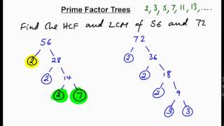 Prime factor trees  finding HCF  LCM N [upl. by Odessa736]