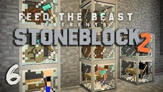 StoneBlock 2 Modpack Ep 6 Automatic Sieve Setup  Item Sorting [upl. by Valerye]