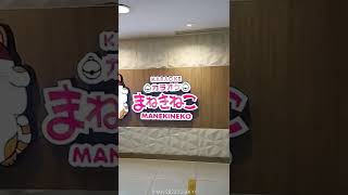 KARAOKE KELUARGA MANEKINEKO JAPAN  DI BAYWALK MALL PLUIT [upl. by Daley378]