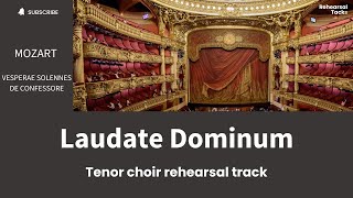 Mozart Laudate Dominum Tenor chorus [upl. by Tidwell]