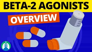 Beta2 Adrenergic Agonists Medications OVERVIEW  Bronchodilators [upl. by Geralda]