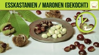 Esskastanien  Maronen gekocht [upl. by Griffith]