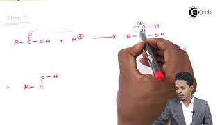 Mechanism of Esterification Reaction  Aldehydes Ketones and Carboxylic Acids  Chemistry Class 122 [upl. by Binnings]