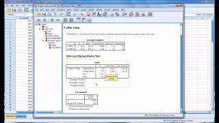 Wilcoxon SignedRank Test [upl. by Glenna]