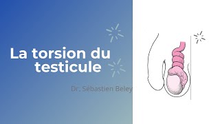 Dr Sébastien Beley La torsion du testicule [upl. by Essiralc525]