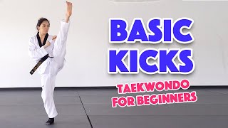 Learn Martial Arts 3 Basic Kicks for Beginners [upl. by Naniac]