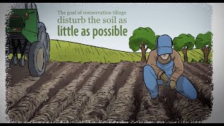 What is Sustainable Agriculture Episode 3 Conservation Tillage and Soil Health [upl. by Eilyah]