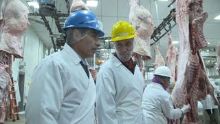 Washington Grown Inside a Beef Slaughter Facility [upl. by Anitnelav]