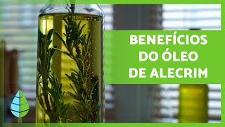 Óleo de Alecrim 🪔🍃 Propriedades benefícios e como fazer [upl. by Cheria]