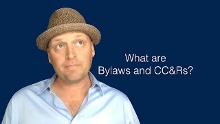 What are Bylaws and CCampRs [upl. by Anihsat]