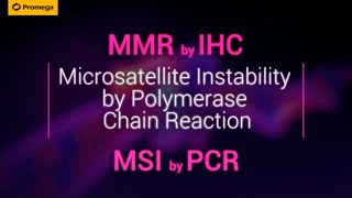 MMR by IHC vs MSI by PCR [upl. by Elinnet]