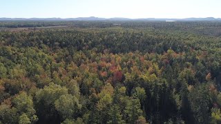 Forestry for the Future Lessons in Sustainable Management from Maine [upl. by Anawqahs]