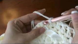 Easy Crochet Lace Border Video 1 STEP BY STEP TUTORIAL [upl. by Divadnahtanoj]