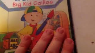 My PBS Caillou DVD Collection [upl. by Suirred645]