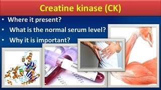 Creatine KinaseCKClear overview [upl. by Esadnac]