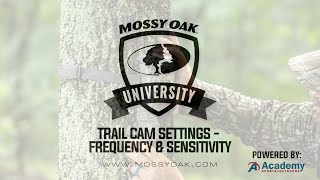 Trail Camera Setup  Frequency amp Sensitivity [upl. by Aicenad]