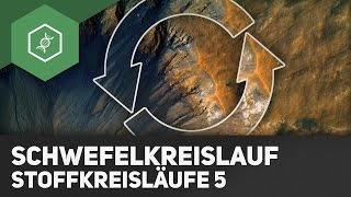 Schwefelkreislauf – Stoffkreisläufe 5 [upl. by Nwahsram703]