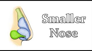 Shrink Your Nose  Get a Smaller Nose  Permanent CHANGE SUBLIMINALFREQ [upl. by Wrand]