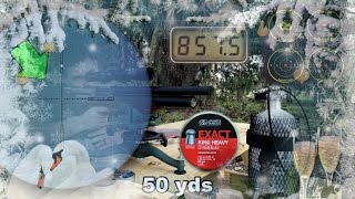 Kalibrgun Cricket 25 Air Rifle  50 Yard Accuracy TEST  Regulated PCP Bullpup Airgun [upl. by Ennaylime]