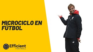 MICROCICLO de FÚTBOL  Cómo diseñar una semana de entrenamiento en fútbol PROFESIONAL Y AMATEUR [upl. by Matland509]