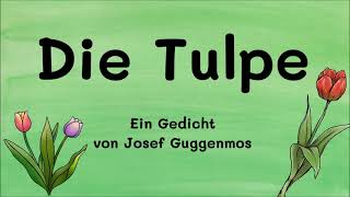 Die Tulpe  Ein Gedicht von Josef Guggenmos [upl. by Bilak847]