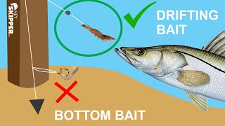 The Secret to Catching BIG Fish at the Pier Simple Pier Fishing Tip [upl. by Danete]