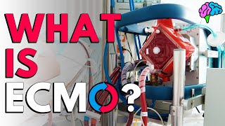 What is ECMO The basics explained [upl. by Angelo]