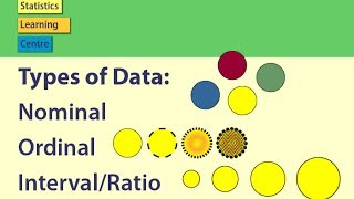 Introduction to Statistics Data Collection and Analysis [upl. by Nonad]