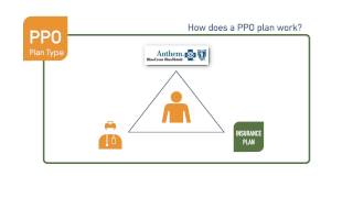 What is a PPO health insurance plan [upl. by Leonsis]