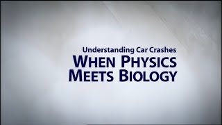 Understanding Car Crashes When Physics Meets Biology [upl. by Rasla]