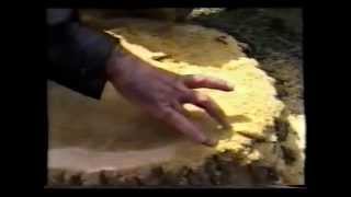 How Its Made Iranian Tar A Short Documentary by Hossein Alizadeh [upl. by Jeremy402]