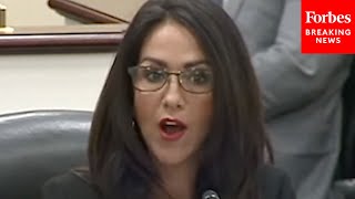 Lauren Boebert Calls Out Dems I Did Not Hear The Outcry From Dems Over Firings Of Energy Workers [upl. by Iliam780]