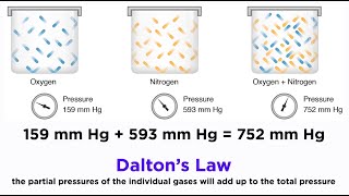 Daltons Law and Partial Pressures [upl. by Nelo]