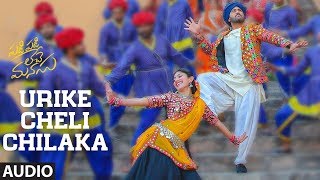 Andhamaina Seetakoka Chiluka Full Video Song  Bellamkonda Sreenivas  Rakul Preet  DSP [upl. by Irtak725]