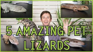 Five of the Best Pet Lizards You Could Possibly Get [upl. by Sid]