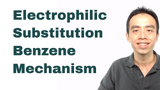 Electrophilic Substitution Benzene Mechanism  Organic Chem [upl. by Ayanad728]