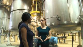 What Does a Chemical Engineer Do  Careers in Science and Engineering [upl. by Olivann]