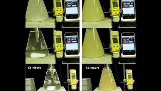 Gypsum vs Calcium Sulfate Anhydrite [upl. by Honniball]