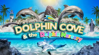 Zoo Tours Dolphin Cove amp Dolphin Nursery  SeaWorld Orlando [upl. by Oderfliw]