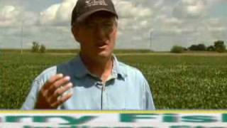 Annual Ryegrass Maximize the Benefits 1 [upl. by Fowle]