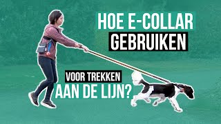 EcollarTeletac gebruiken voor wandelen zonder trekken [upl. by Naegem486]