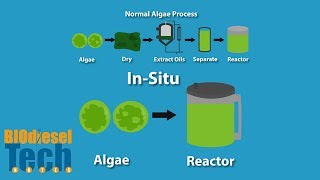 Biodiesel Production Methods [upl. by Innavoeg]