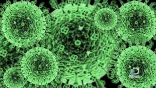 The H1N1 Swine Flu A Look Inside [upl. by Aviva]