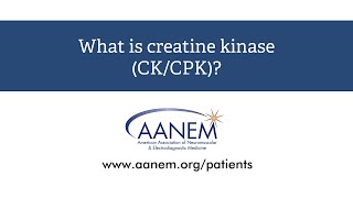 What is creatine kinase [upl. by Landy]