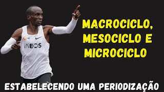 PERIODIZAÇÃO DEFININDO MACROCICLO MESOCICLO E MICROCICLO PARA PLANEJAMENTO DA TEMPORADA DE TREINOS [upl. by Aniretake]