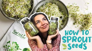 HOW TO SPROUT SEEDS  EASY GUIDE  Foolproof Method [upl. by Opiuuk]