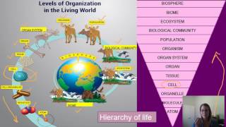 Biology Characteristics of Life [upl. by Malkah115]