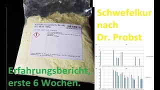 Schwefelkur nach Dr Probst Erfahrungsbericht [upl. by Newhall]