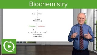 Biochemistry – Course Preview  Lecturio [upl. by Noxaj220]