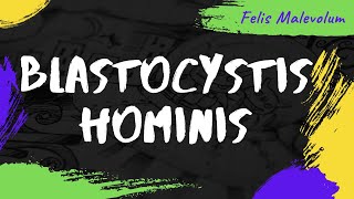 Blastocystis hominis [upl. by Attenrev]